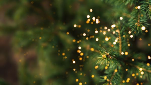 Аналитики выяснили, сколько стоит украсить дом к Новому году