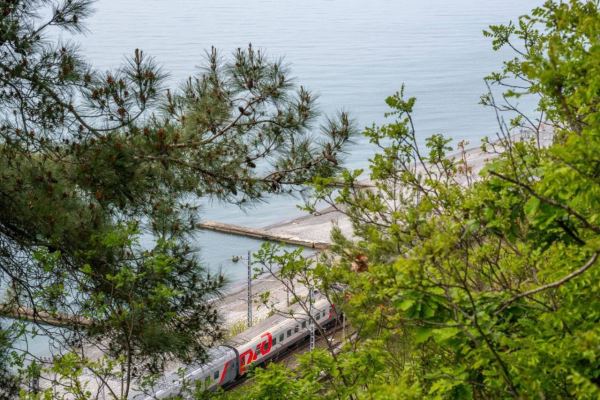 Грозный соединили с Черноморским побережьем прямым поездом