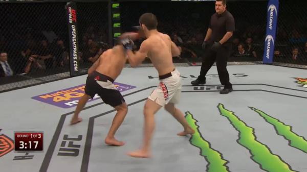 Эволюция Ислама Махачева – от спарринг-партнера Хабиба до сильнейшего универсала UFC