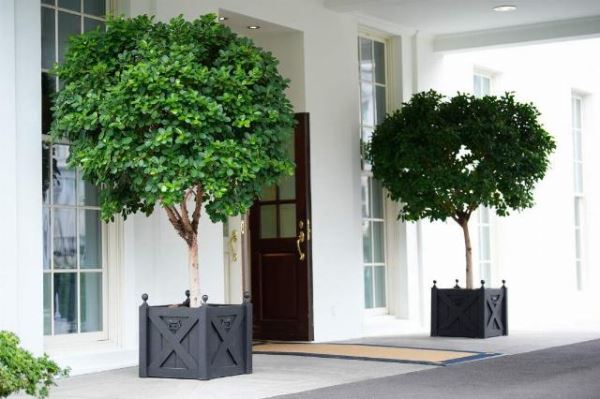 Пуститься по миру: как Киев намерен содержать армию в 800 тыс. человек