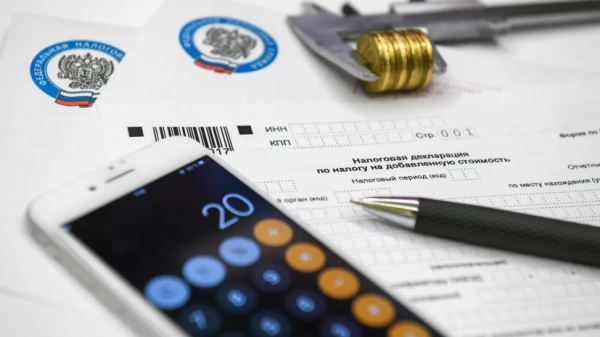 Финансовый консультант Вохмянина напомнила о штрафах за неуплату налогов