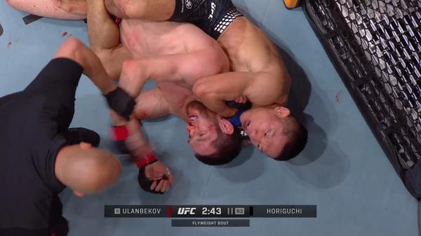 Провал команды Хабиба в Катаре: Махачев секундировал двух бойцов – оба проиграли