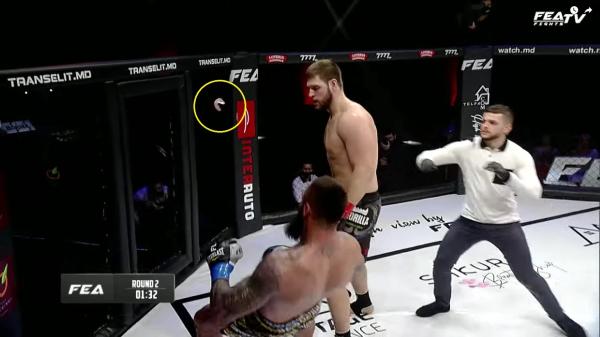 Раздражает кавказцев, вызывал Емельяненко, продает детскую одежду. 15 фактов про сильнейшего тяжа России